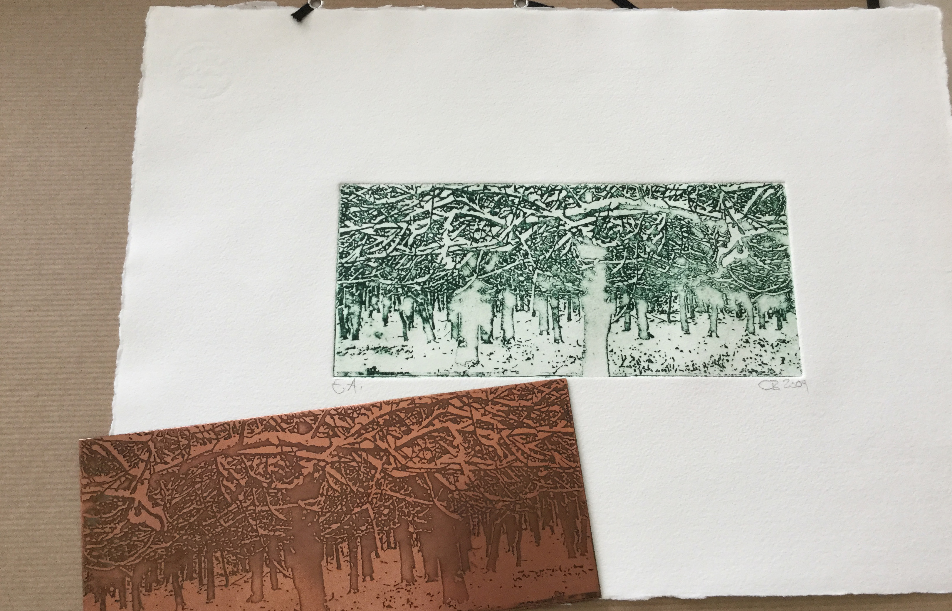 Introduction to Etching — Robert Blackburn Printmaking Workshop