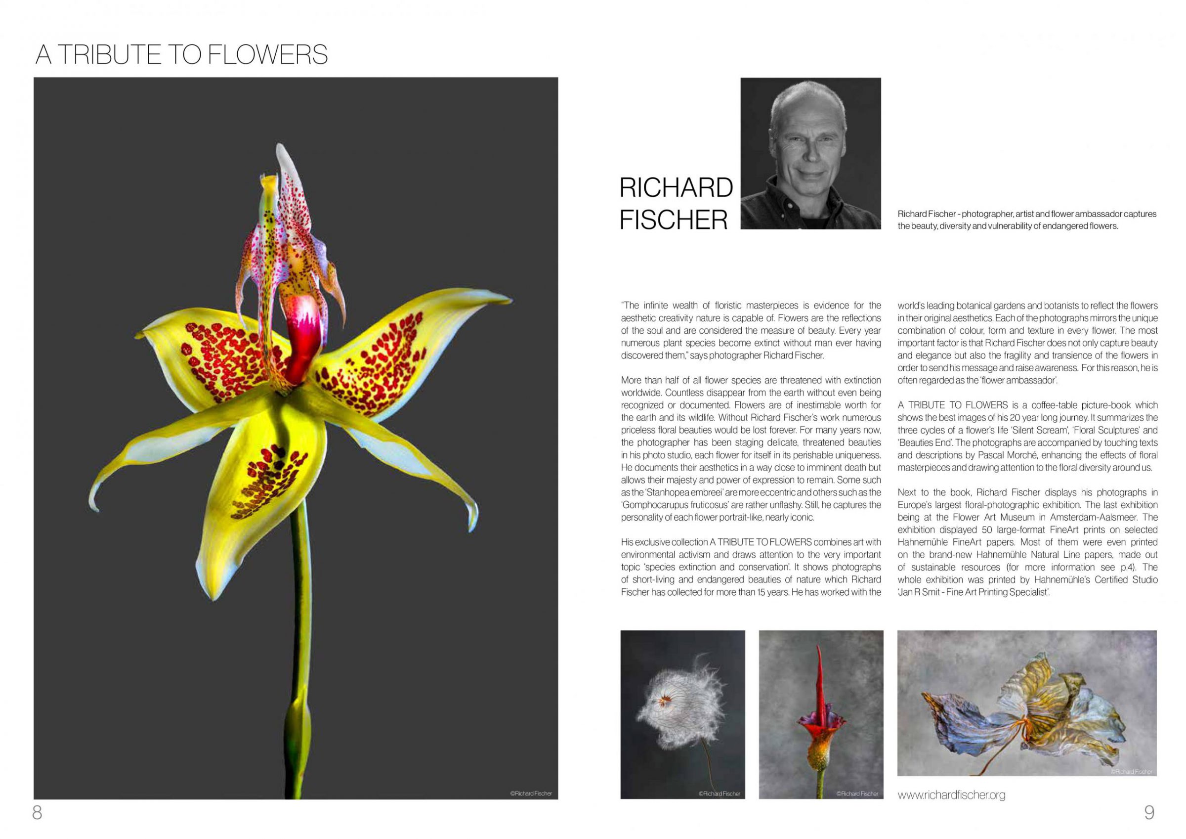 A Tribute To Flowers - Richard Fischer - Hahnemühle Magazine photokina Edition 2020