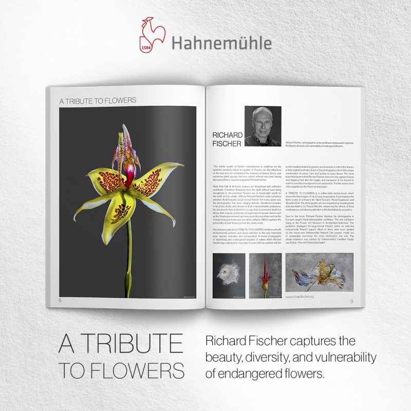 Feed Post – A Tribute To Flowers – Hahnemühle Magazine photokina Edition 2020 Feed Post - A Tribute To Flowers - Hahnemühle Magazine photokina Edition 2020