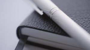 Hahnemühle FineNotes First Edition Fountain Pen and Iconic Notebook