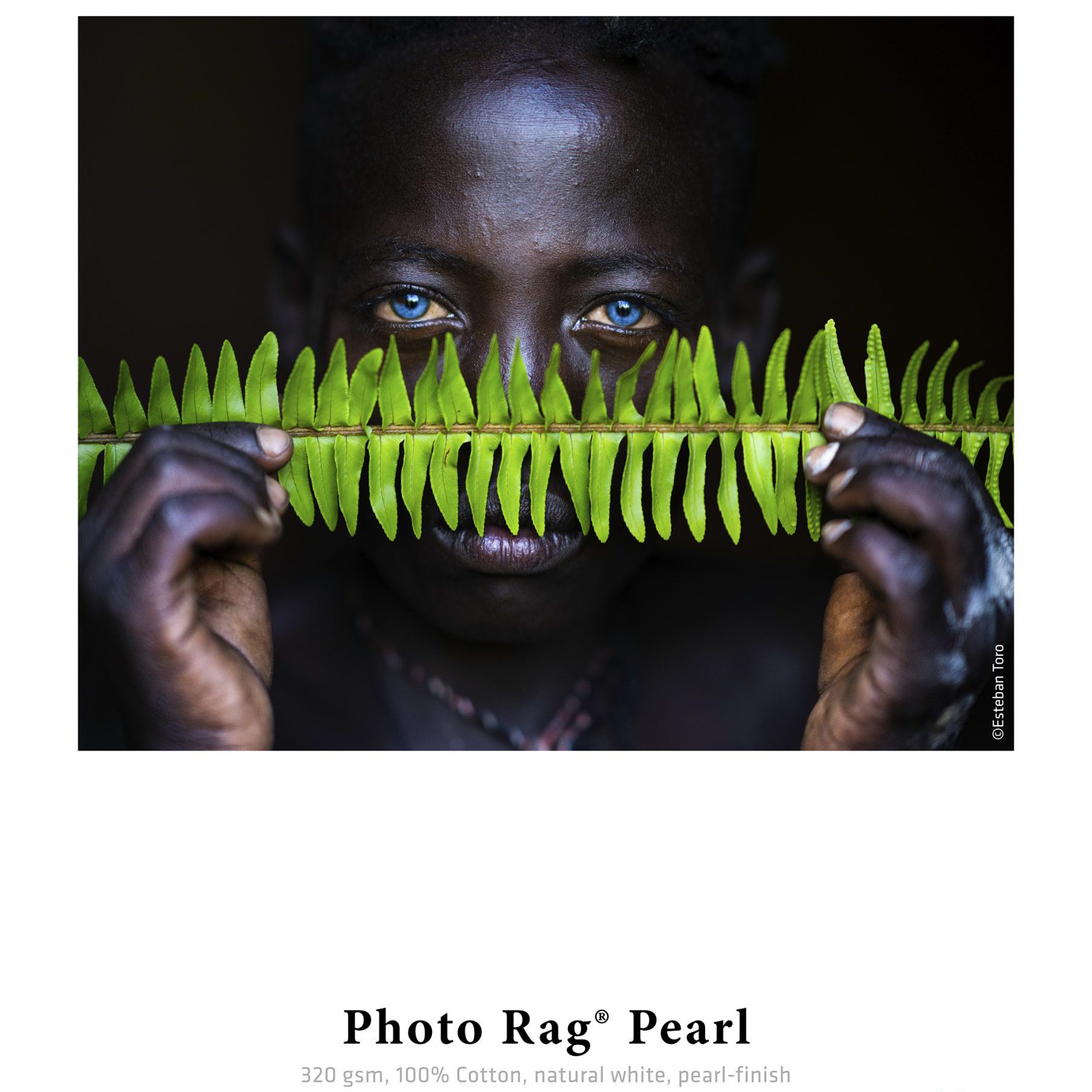 New Sample Print for Photo Rag Pearl in Sample Book