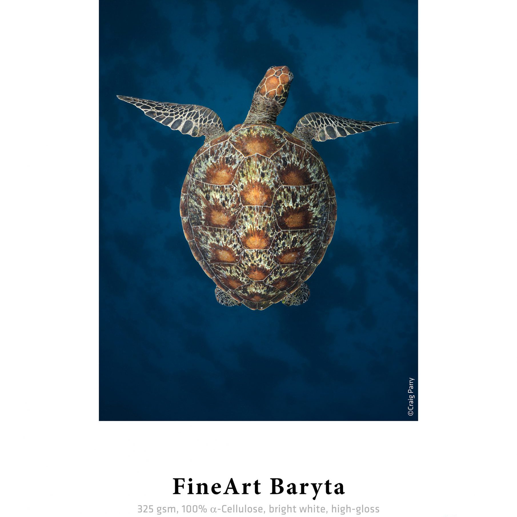 New Sample Print for FineArt Baryta in Sample Book