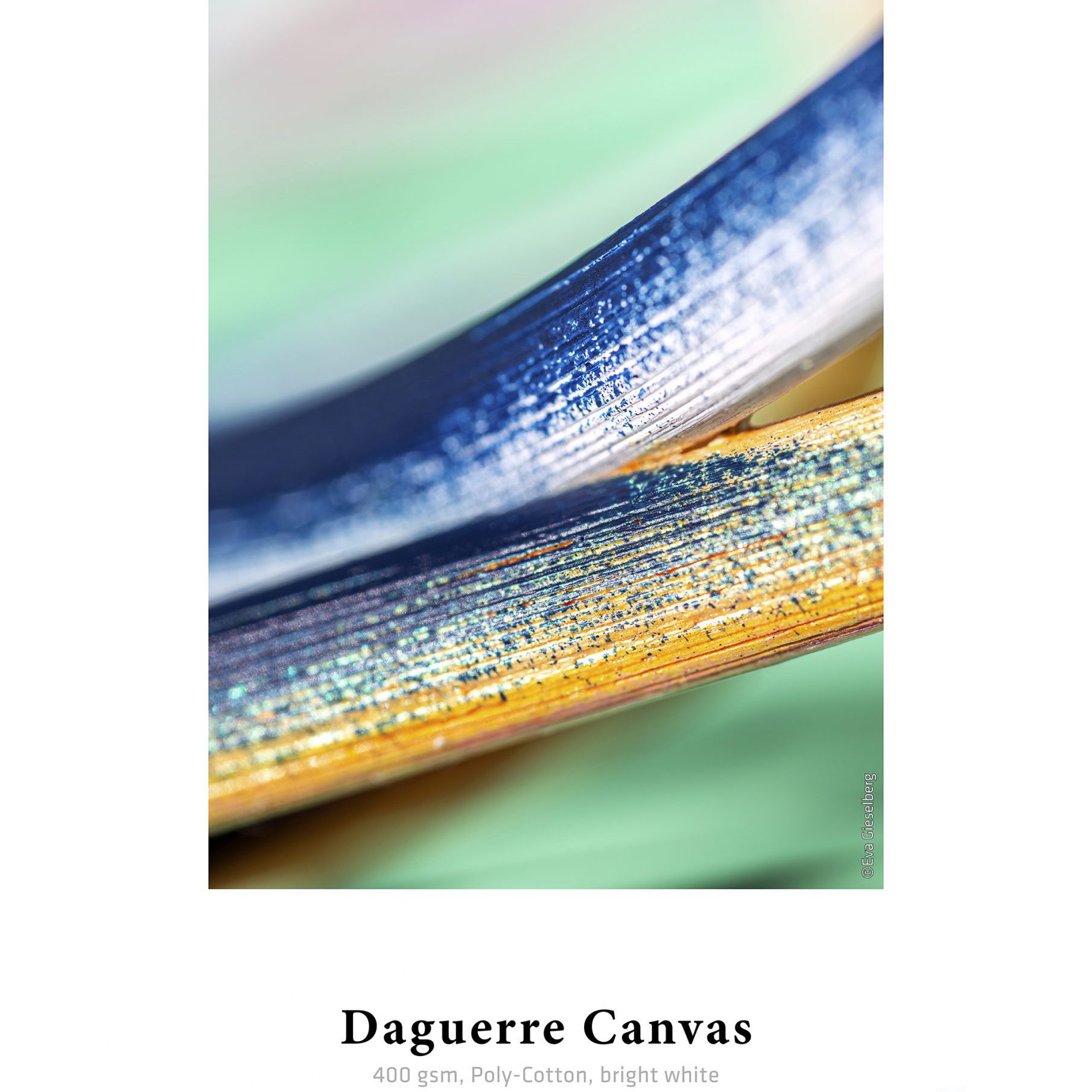 New Sample Print for Daguerre Canvas in Sample Book