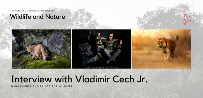 Hahnemühle Photography Month