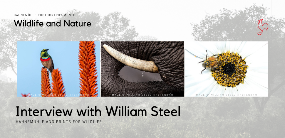 Hahnemühle Photography Month