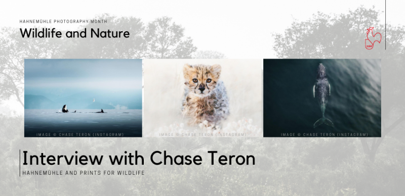 Hahnemühle Photography Month