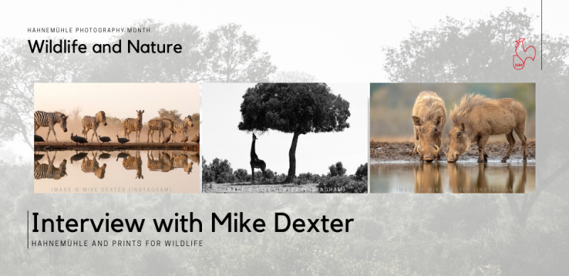 Hahnemühle Photography Month