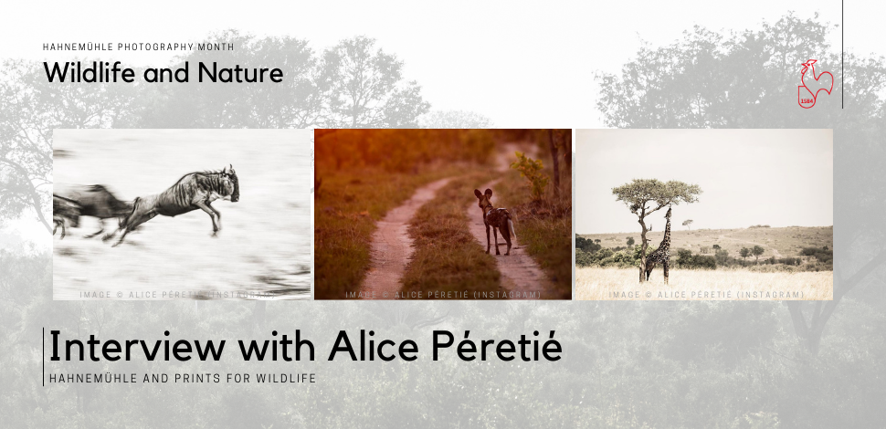 Hahnemühle Photography Month