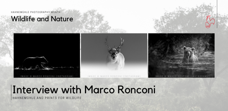Hahnemühle Photography Month