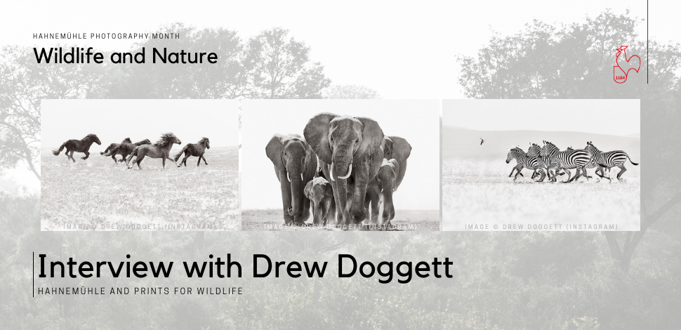 Hahnemühle Photography Month
