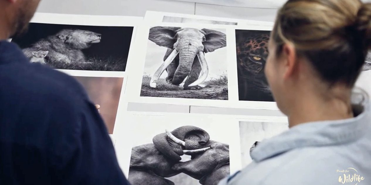 Pie Aerts and Marion Payr Prints for Wildlife on Hahnemühle Hemp Paper