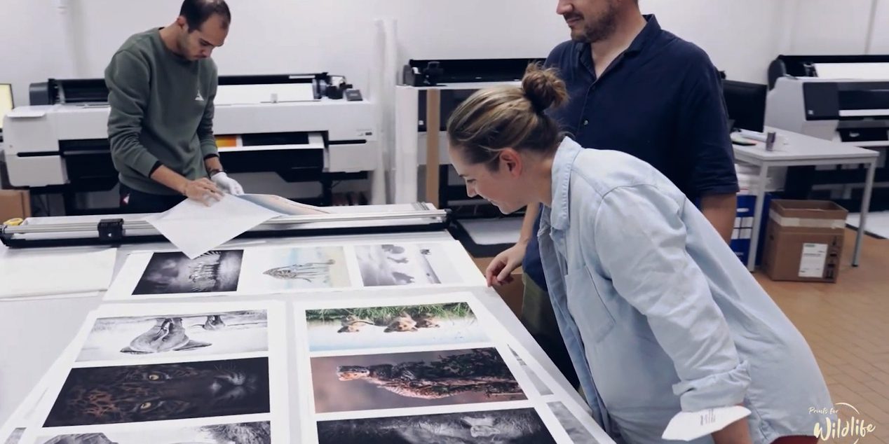 Prints for Wildlife on Hahnemuehle Hemp Paper at The Print Space