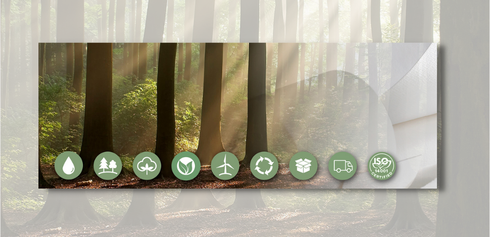 Sustainable paper for art, photography and Life Science by Hahnemuehle