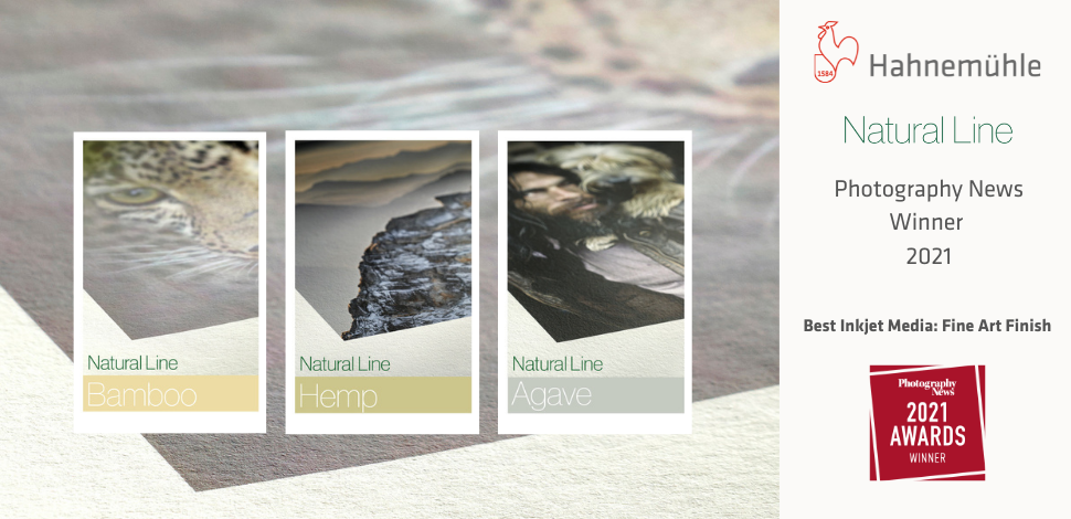 PHOTOGRAPHY NEWS AWARD 2021