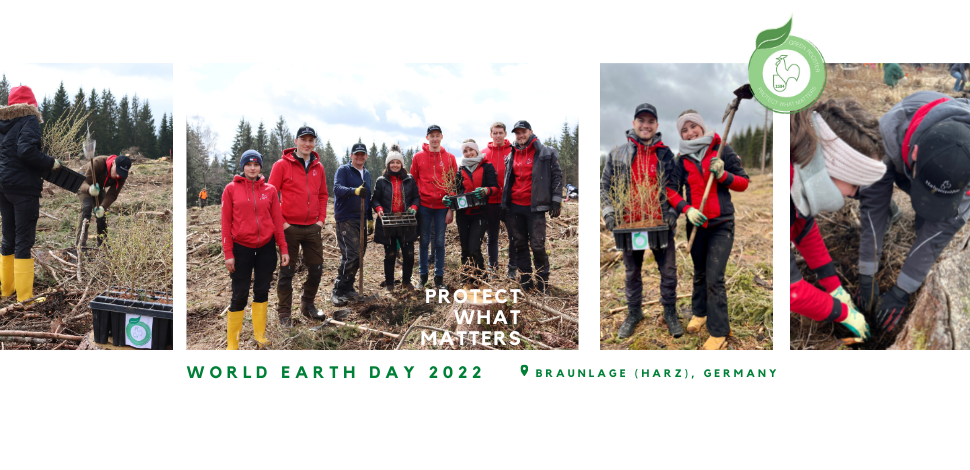 Tree Planting for World Earth Day