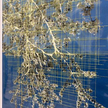 Gisoo Kim courtesy of Gallery mianki