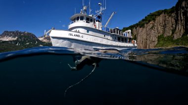 Footprints on Katmai - a film on ocean clean up supported by Hahnemühle Green Rooster initiative