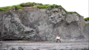 Footprints on Katmai - Hahnemühle Green Rooster Project X Max Romey Trailbound Sketches