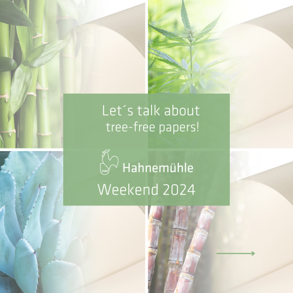 Let´s talk about artist paper made from Bamboo, Hemp, Agave or Sugar Cane! Hahnemühle Weekend 2024, September 27-29 at Haus des Papiers, Berlin