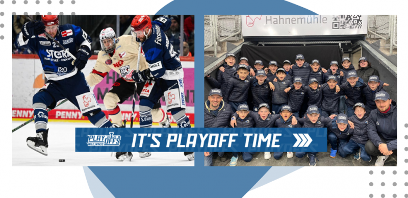 Schwenninger Wild Wings Playoffs 2024-2025