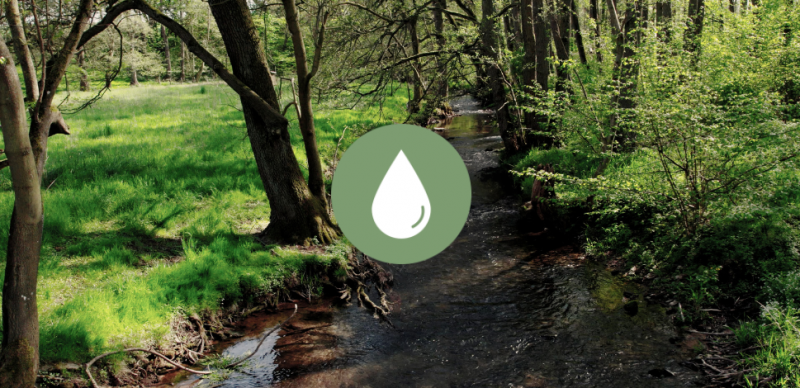 Pure artesian well´s water for purest paper at Hahnemühle production site