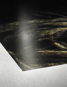 Surface texture of Hahnemuehle FineArt Inkjet Paper for FineArt Printing