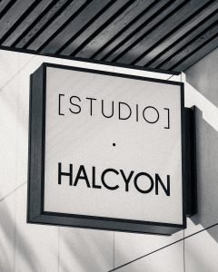 Studio Halcyon Artist