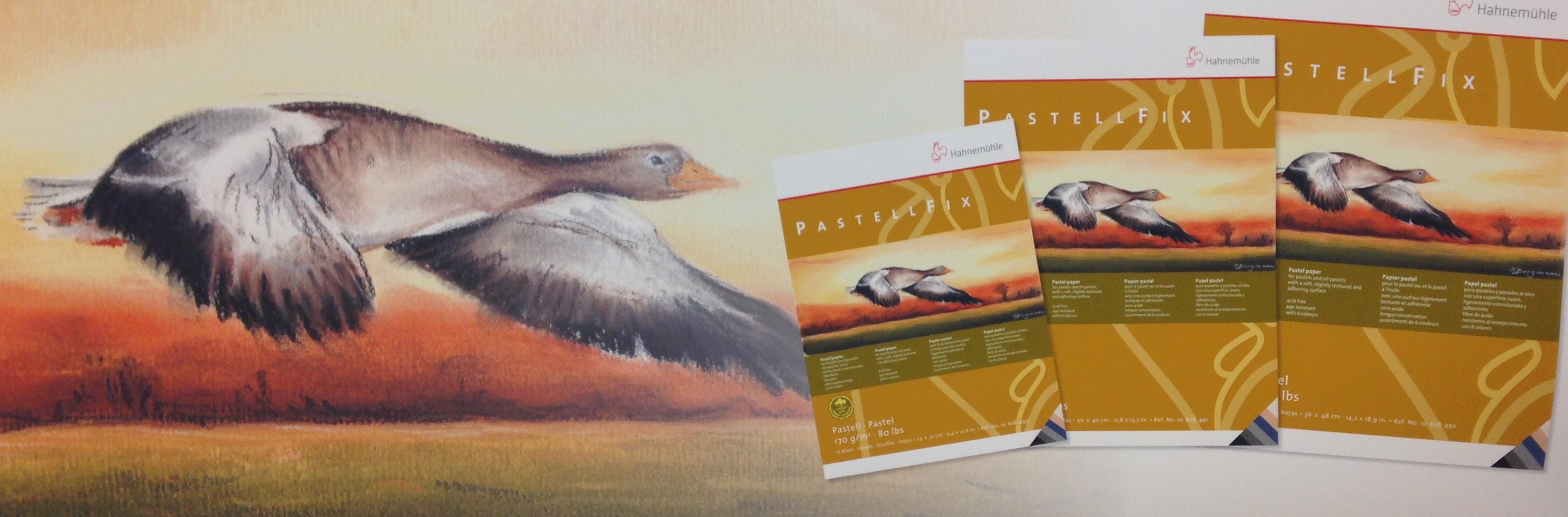 Hahnemühle PastellFix