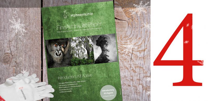 Concours Calendrier de l’Avent #4