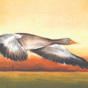 PastelFix-2 PastelFix-2