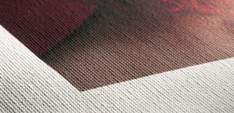 Hahnemühle-Cezanne-Header Oberfläche Hahnemühle Cezanne Canvas