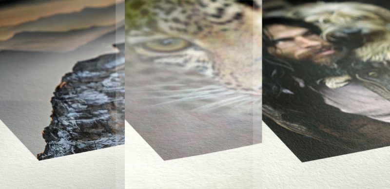 Hemp, Bamboo, Agave_collage