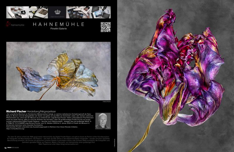 Richard Fischer ProfiFoto Advertorial Florale Fotografie A tribute to flowers