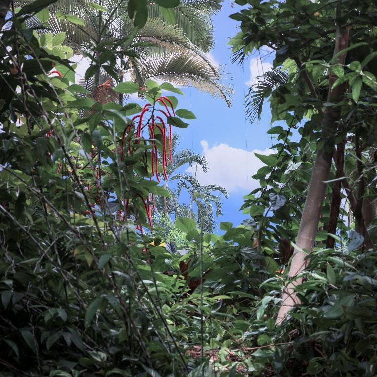 Gewinner Fotowettbewerb_ 1.Platz simili modo