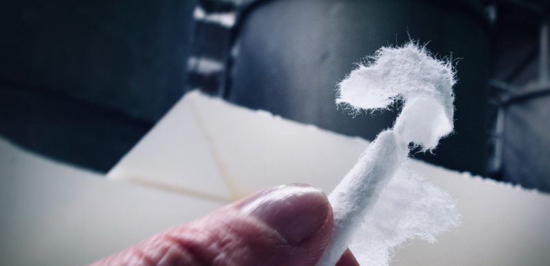 Zellulosefasern für die Papierherstellung©Nik Barte