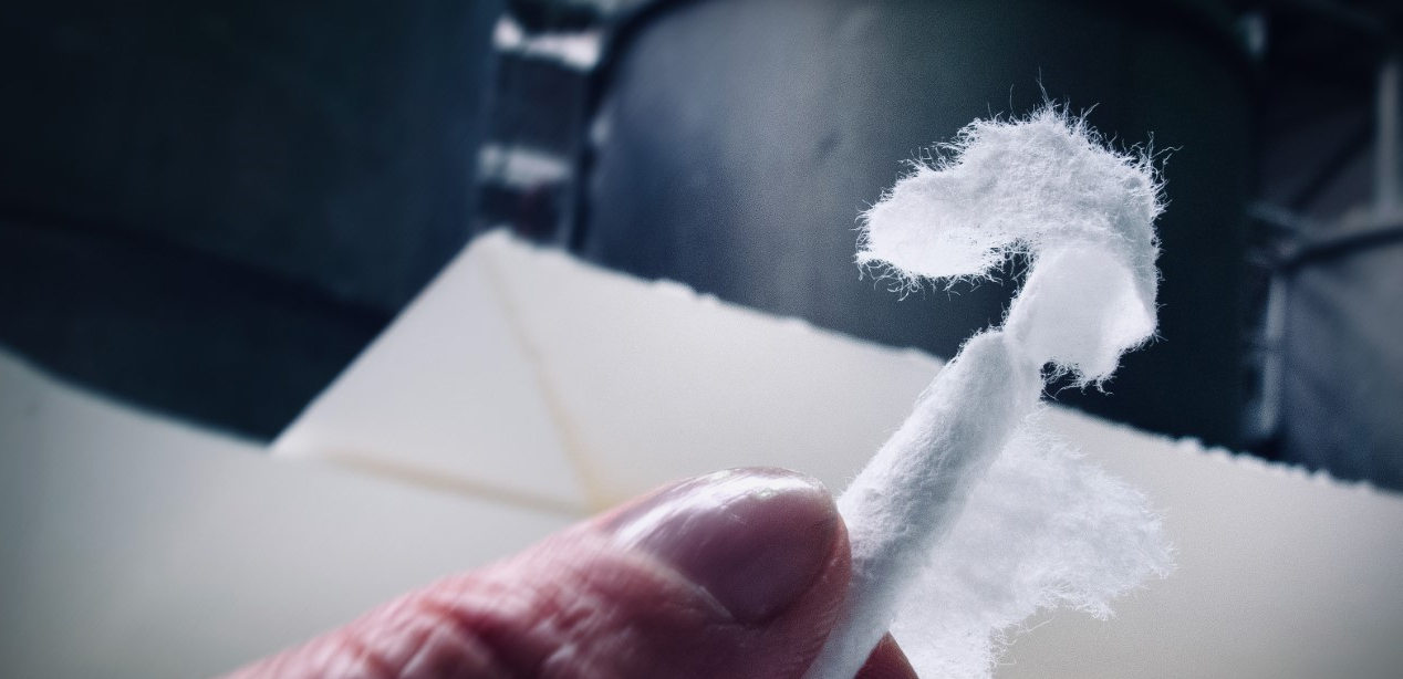 Zellulosefasern für die Papierherstellung©Nik Barte