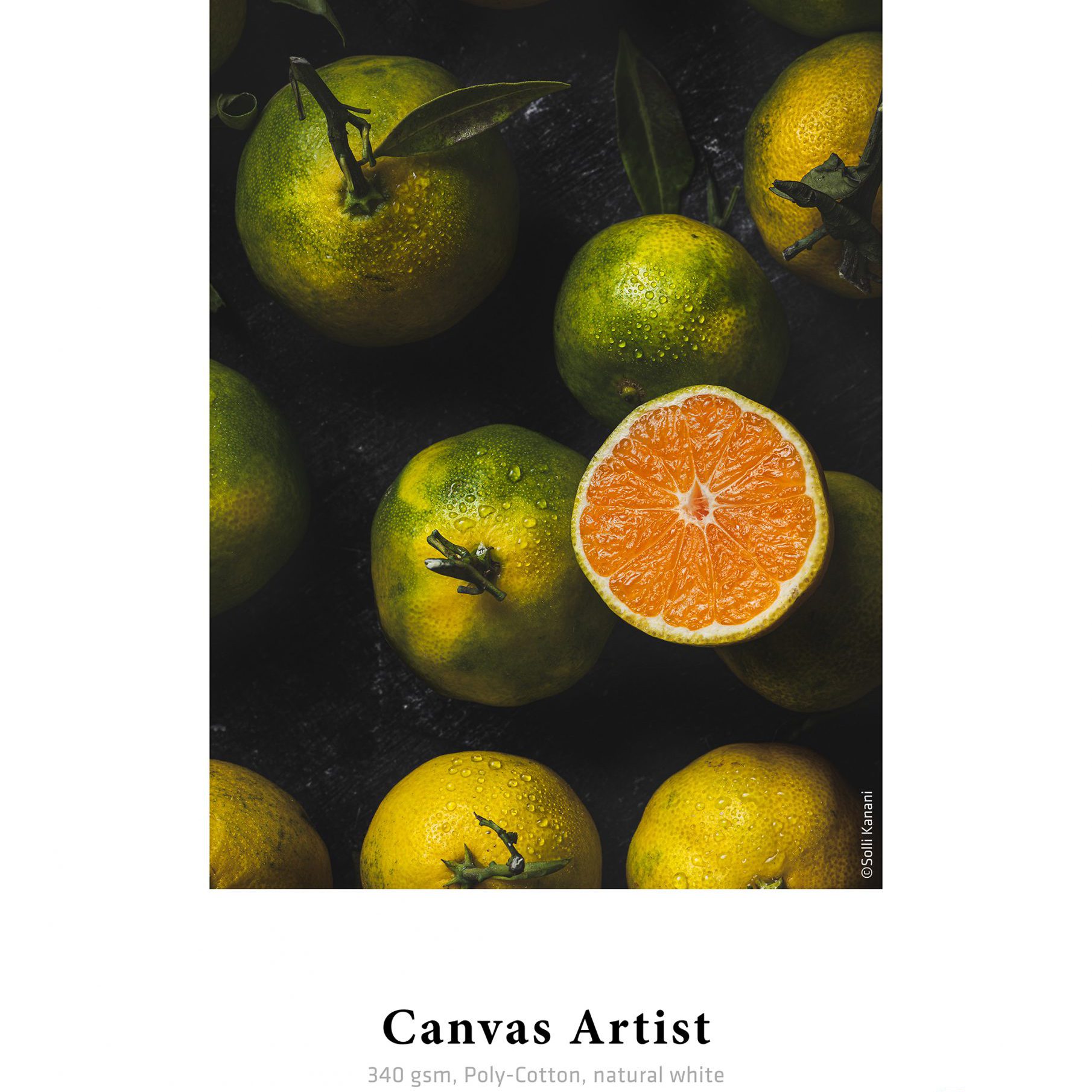 Neuer Musterdruck für Canvas Artist im Musterbuch