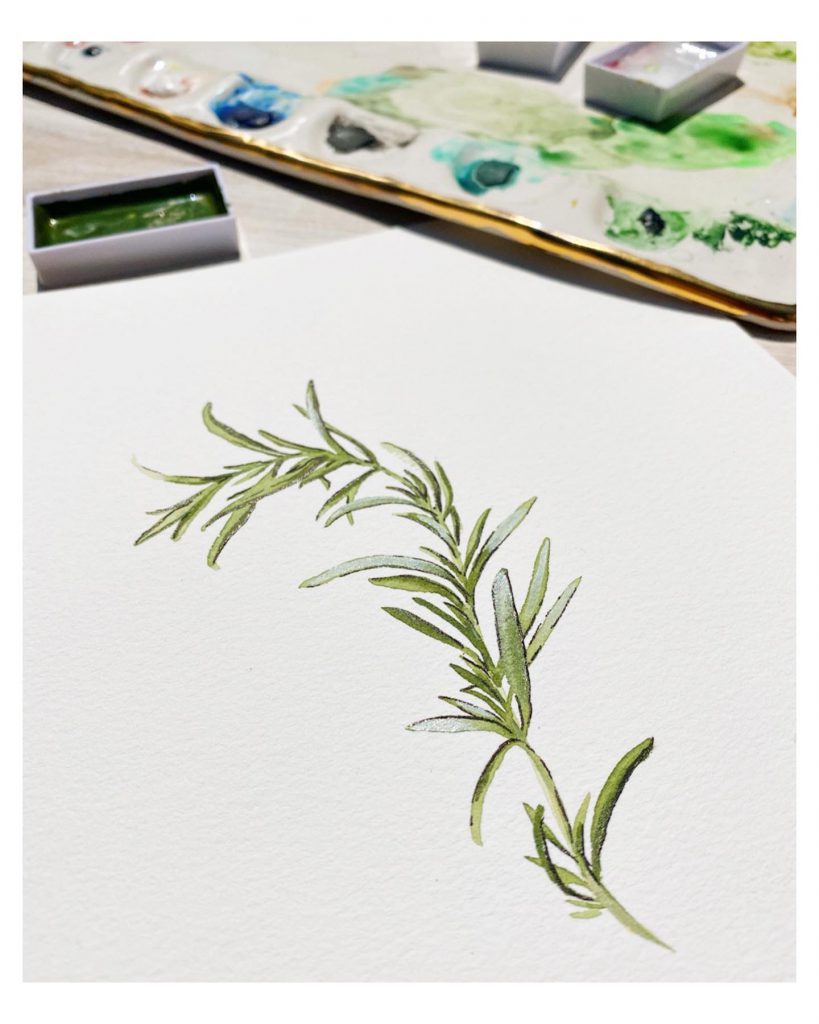 Botanical Watercolour by Sarah Simon @TheMintGardener