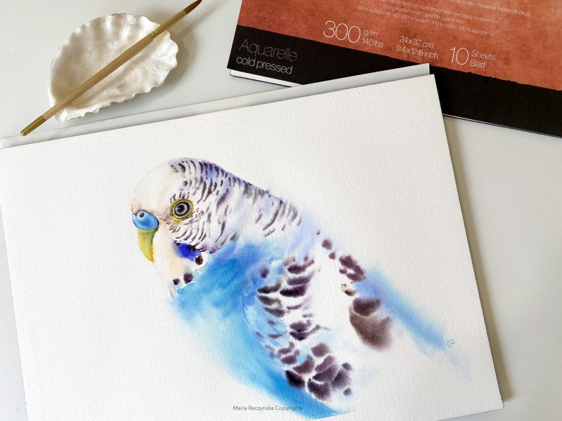 ©Maria Raczynska Blue Parrot