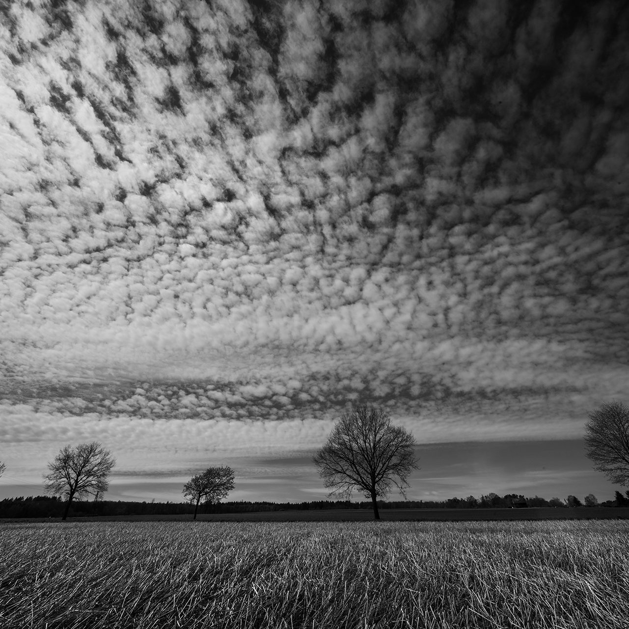 (c) Wladimir Ogloblin Графіка неба на початку весни / Grafiken des Himmels im Frühjahr 2022