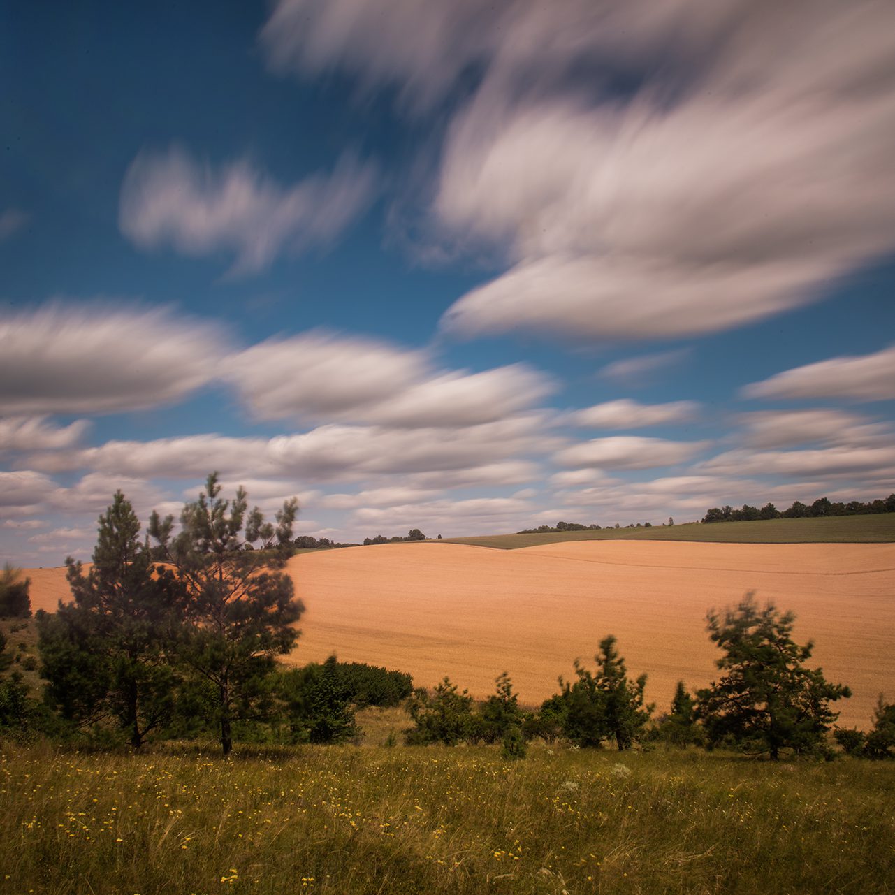 (c) Wladimir Ogloblin Пролітала хмара… / Eine Wolke flog vorbei… 2019