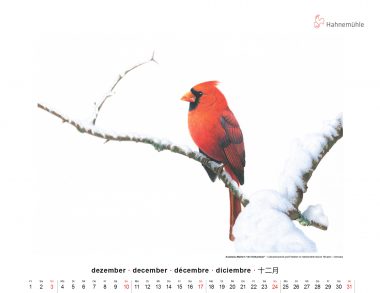 Dezember 2023 Hahnemühle Kunstkalender Anastasia Mattern