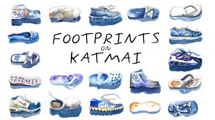 Ozeanmüll in Alaska - Footprints on Katmai - Hahnemühle Green Rooster Projekt 2023