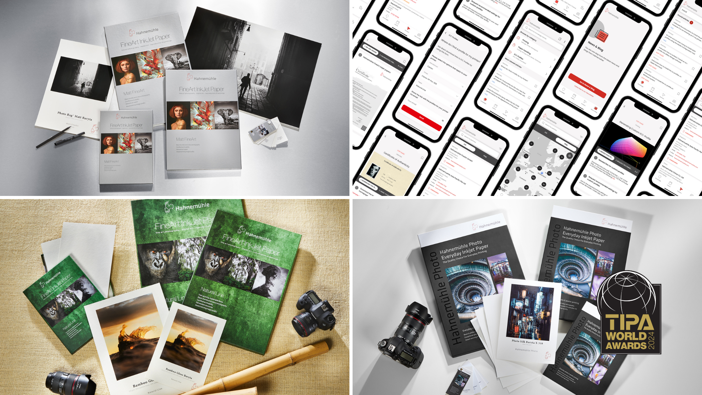 TIPA 2024 (Blog-Banner)