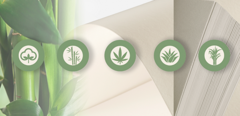 Baumfreie Papiere kommen von Hahnemühle baumfreie Papiere aus Pflanzenfasern kommen von Hahnemühle