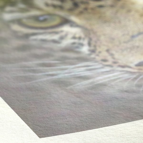 Hahnemuehle FineArt Natural Line Papier_Detail_Bamboo