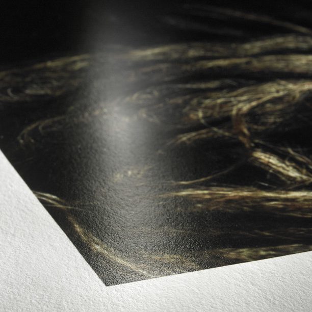 Hahnemuehle FineArt Papier_Detail_Photo_Rag_Baryta