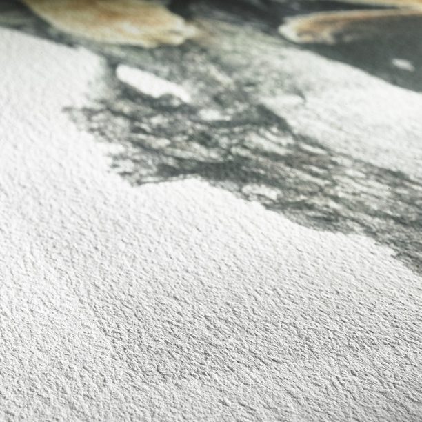 Hahnemuehle FineArt Papier_Detail_German_Etching