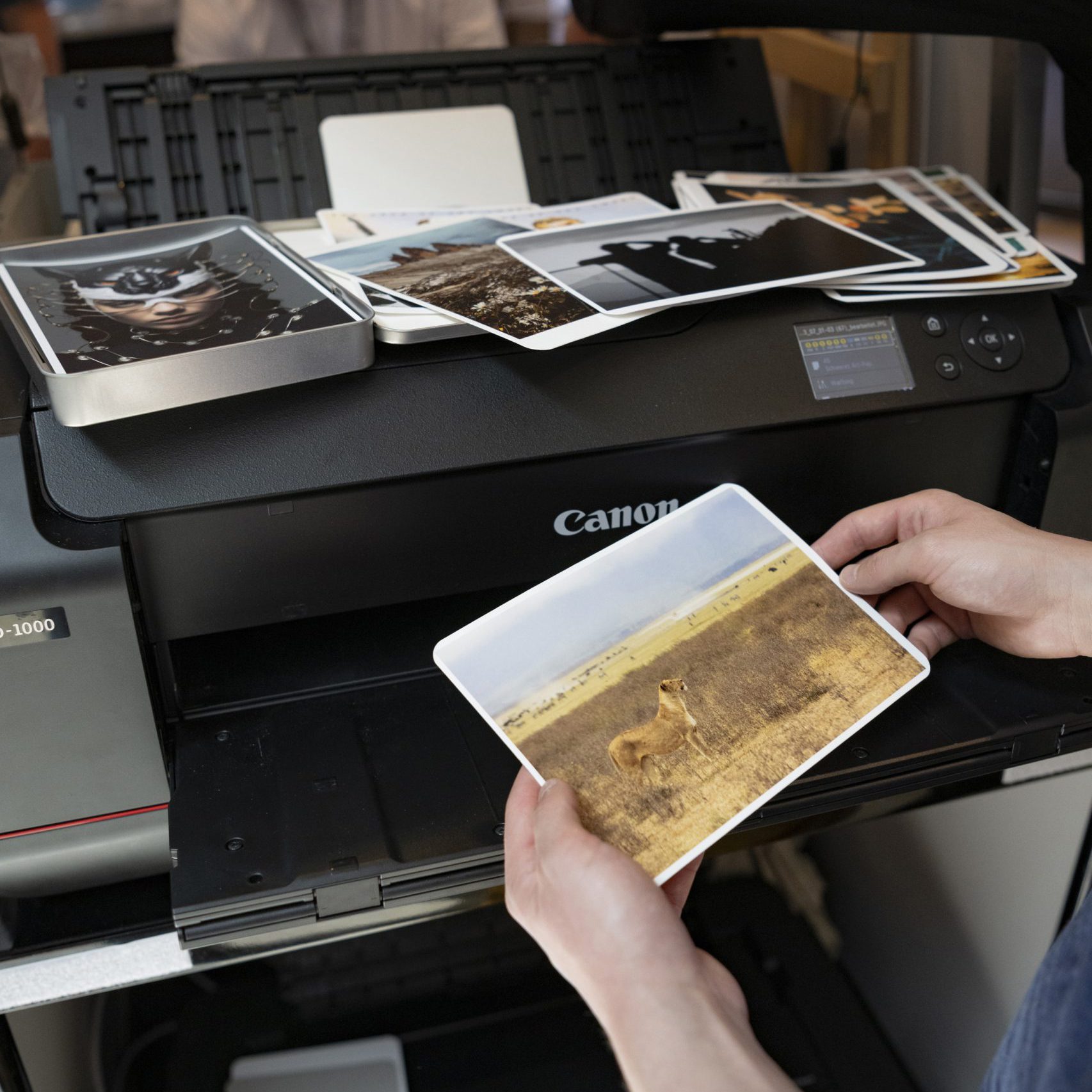 Besucher bestaunt FineArt Inkjet Print auf Hahnemühle Photo Cards mit einem eigenen Motiv ©René Zieger